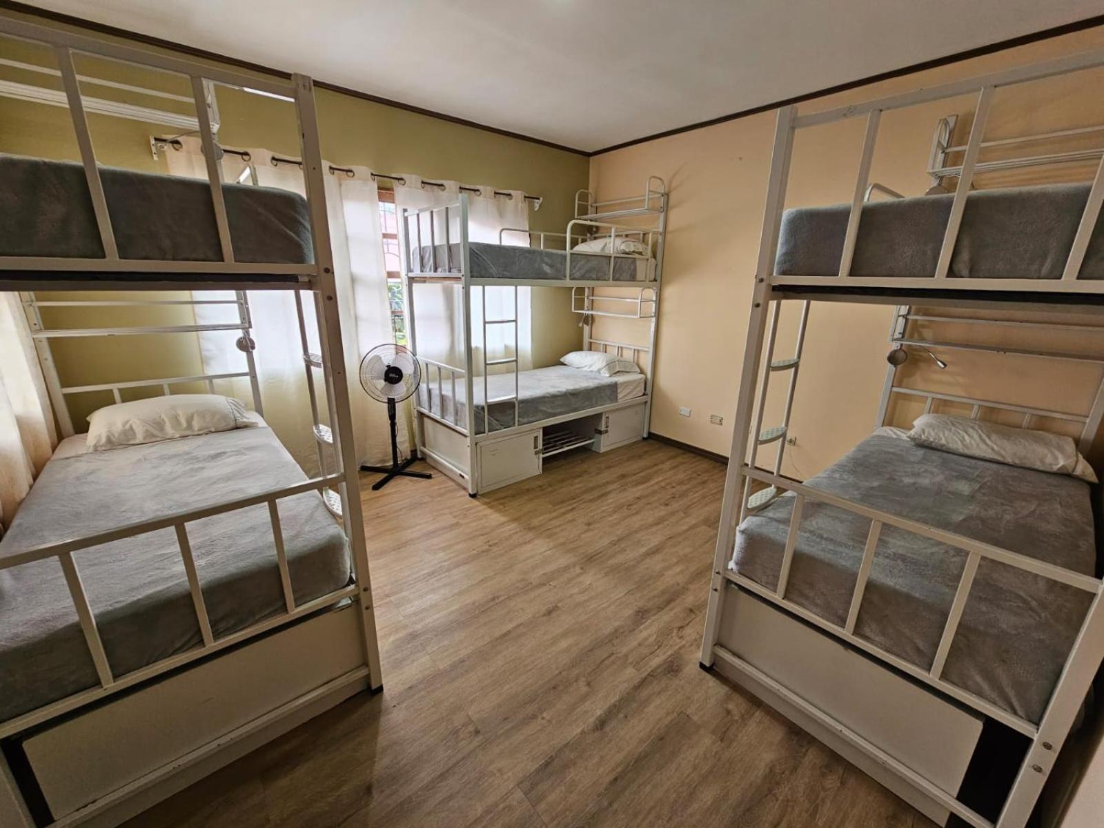 Hostel La Cali Inn San Jose  Bagian luar foto